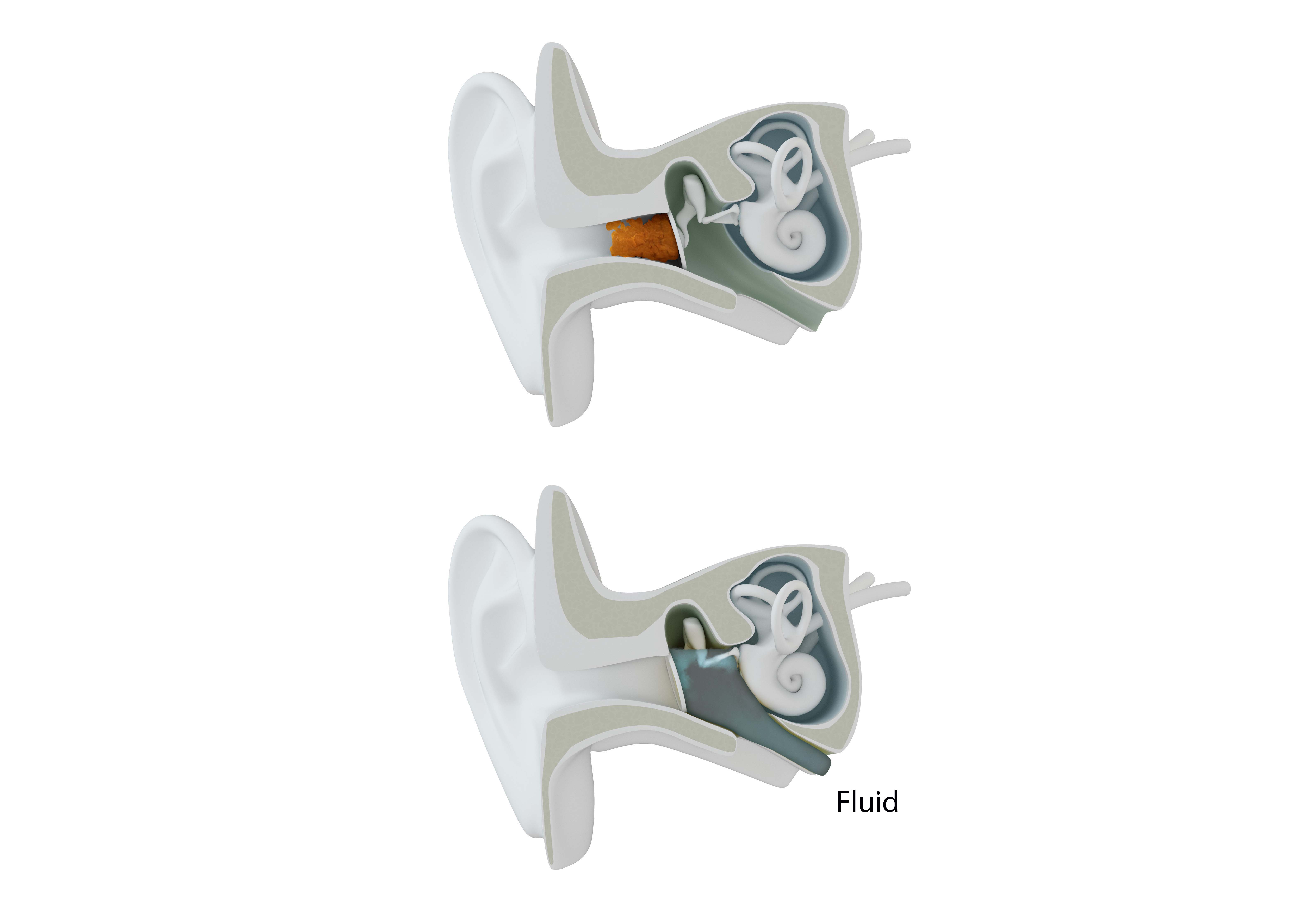L'orecchio di un uomo