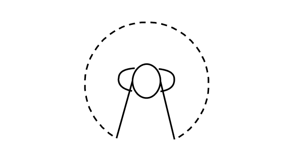 Symbol All Access Directionality